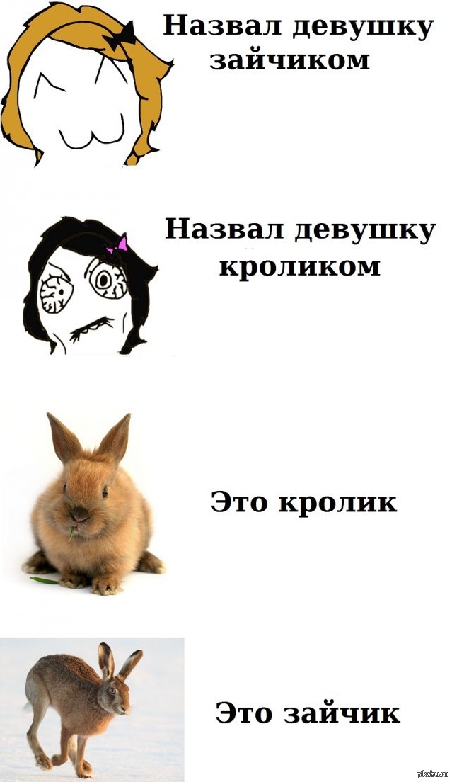 Как называли веселую девушку. Мемы с кроликами. Мемы с зайцами. Смешно назвать девушку. Шутки про кроликов.