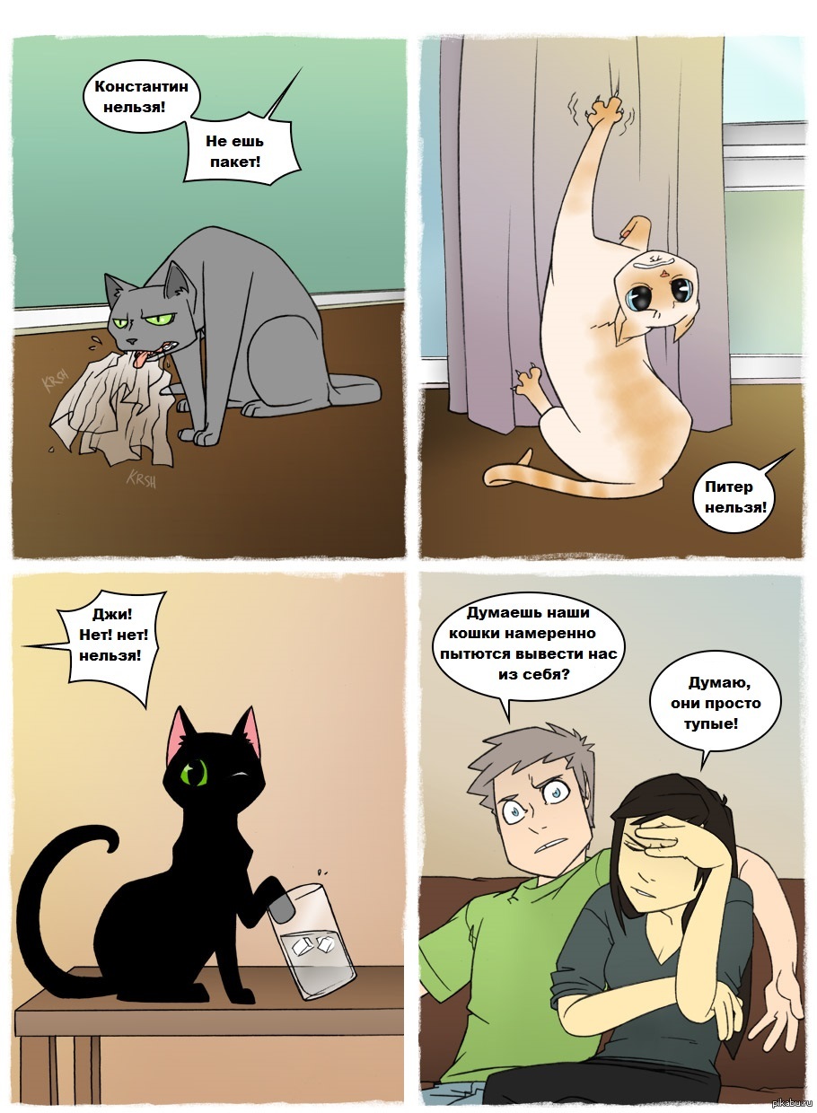 Русский комикс про котов. Комикс про кота. Смешной комикс про кота. Комиксы про котят. Комиксы про жизнь с котом.