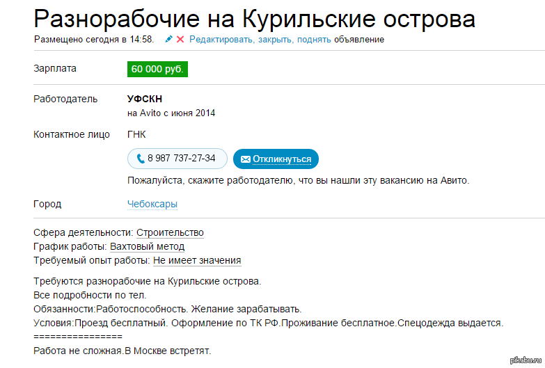 Остов вакансии. Номер телефона работодателя. Авито вакансии. Курильские острова вакансии. Вахта на Курильский островах.