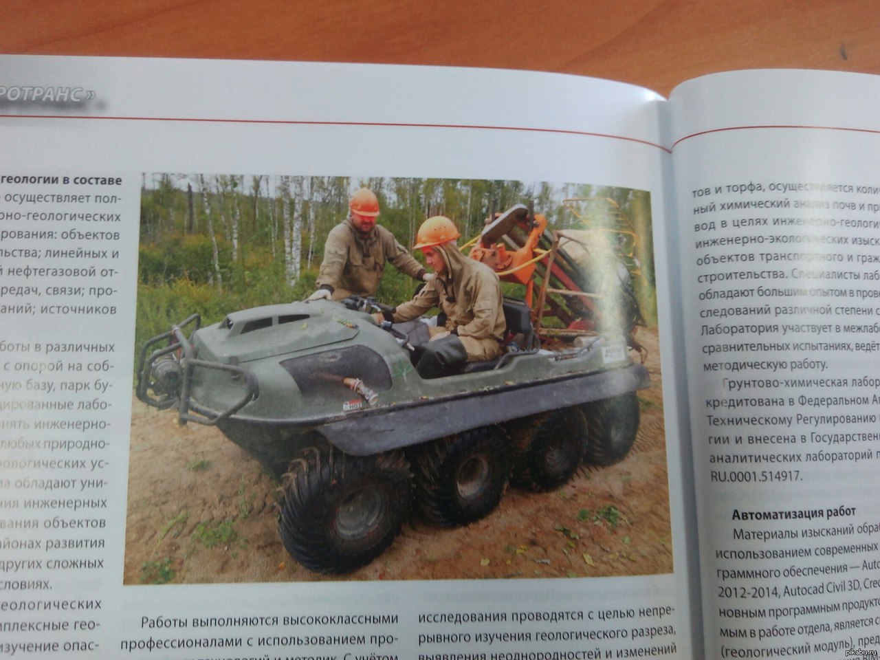 Я звезда! | Пикабу
