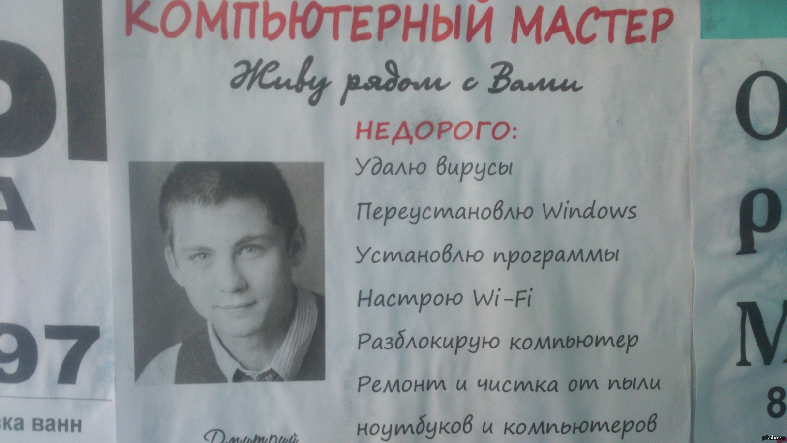 Такс-такс-такс, кто это тут у нас? | Пикабу