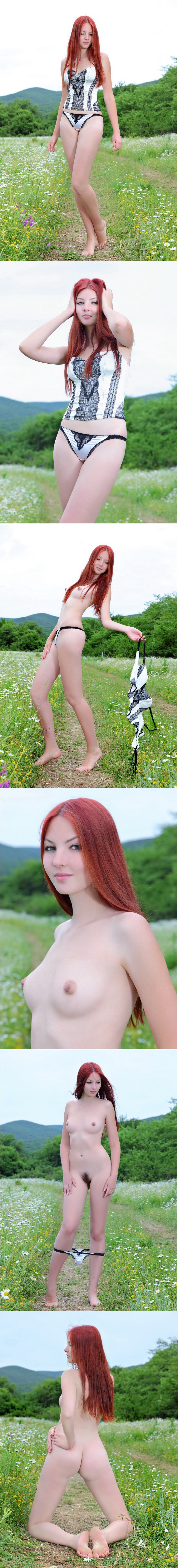 redhead in the field - NSFW, Erotic, Strawberry, Beautiful girl, Redheads, Booty, Breast, Longpost