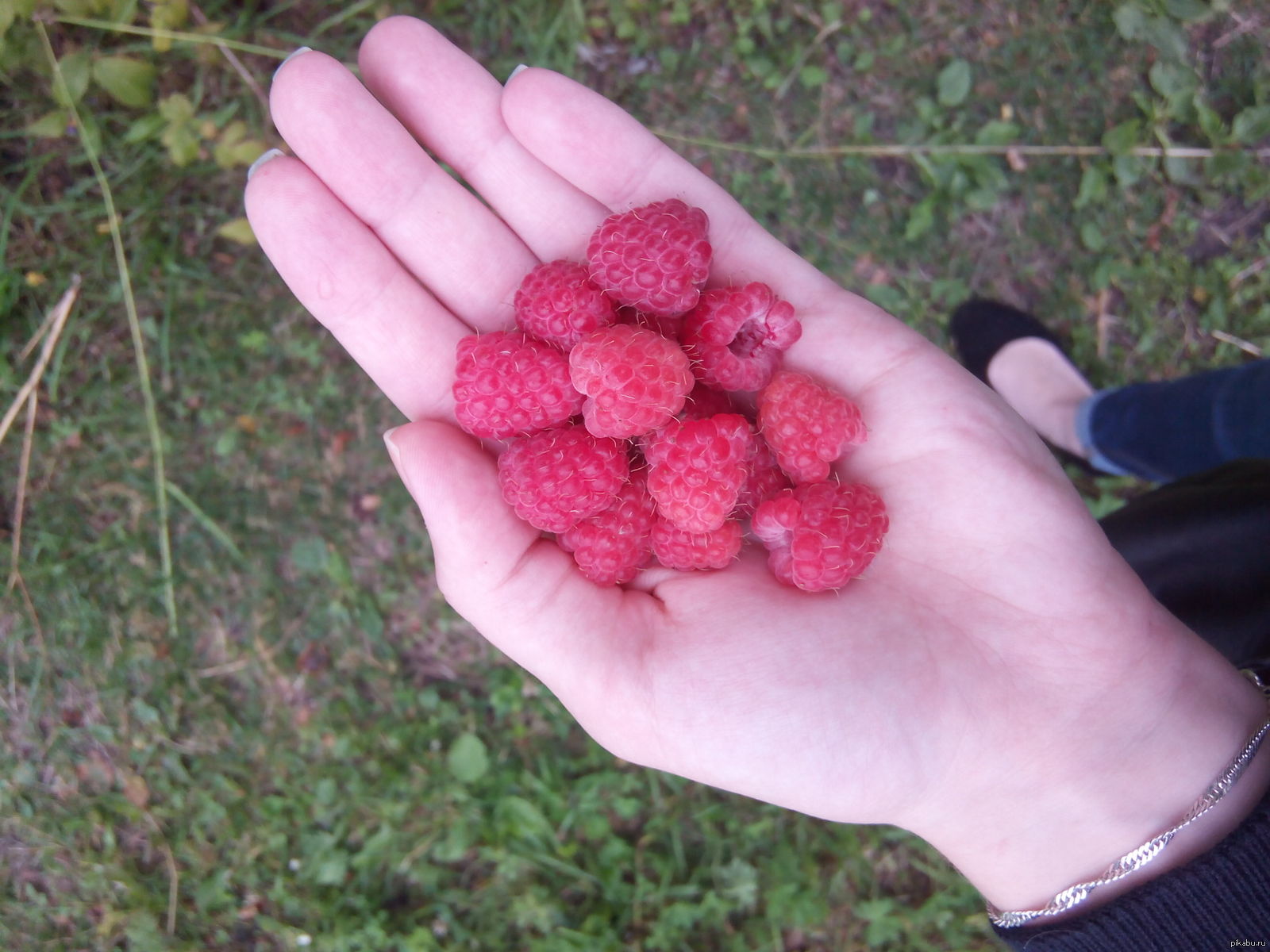 Лето в деревне | Пикабу