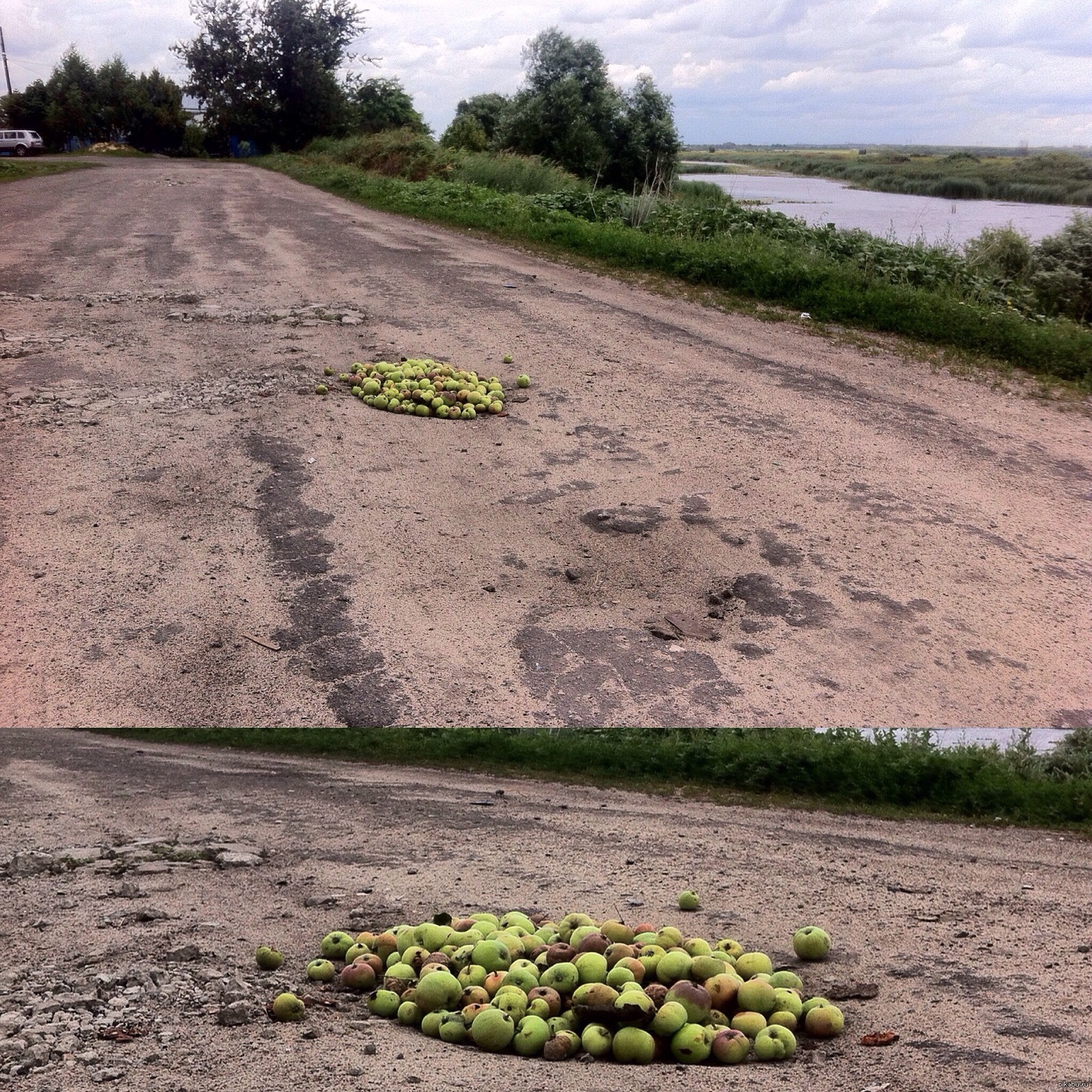 Apple repair. - My, Road repair, Apples, Dacha