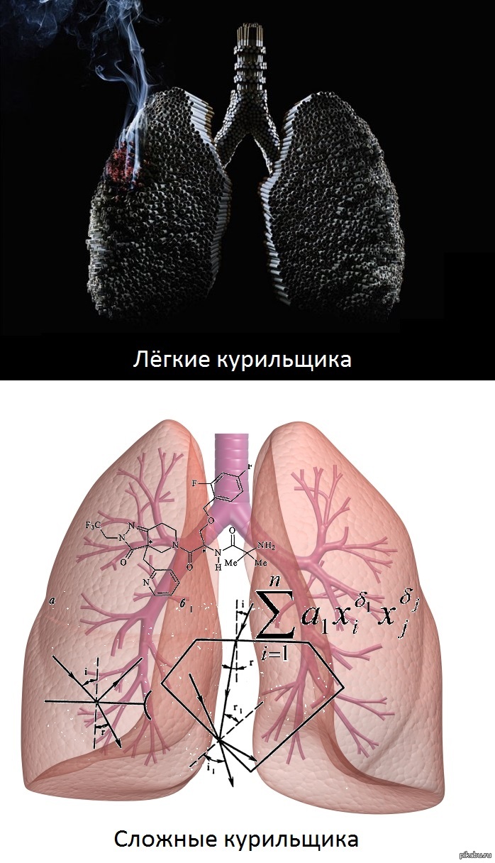 Фото легких вейпера