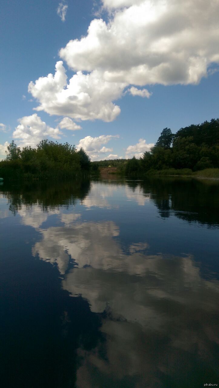 Река воронеж в липецке сегодня