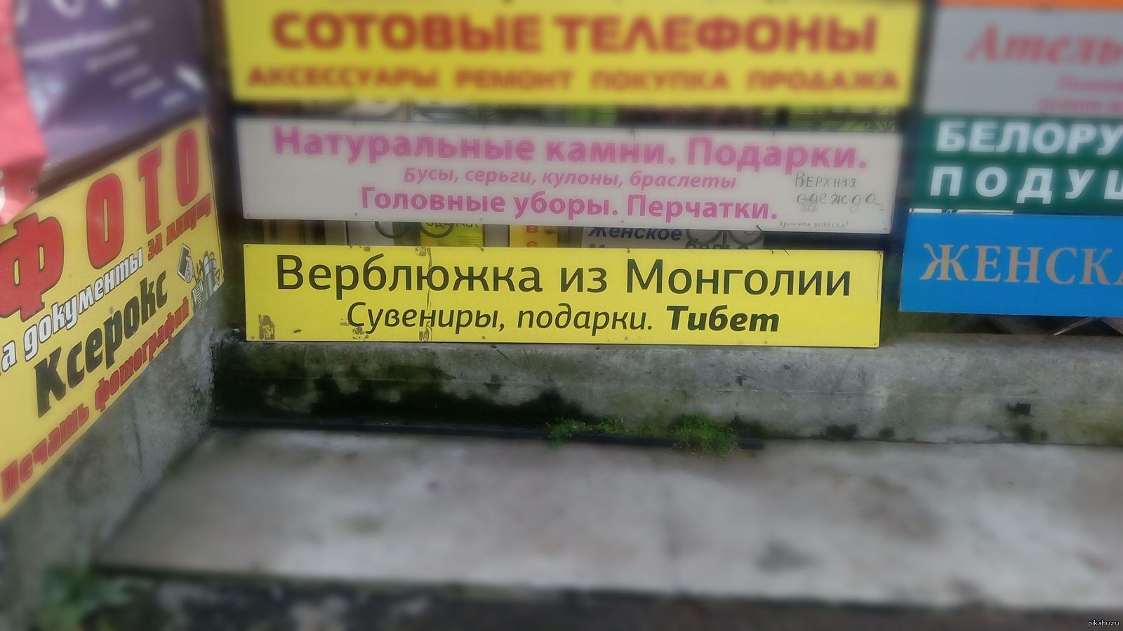 Словообразование | Пикабу