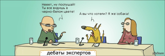 Ну послушай. Про экспертов шутки. Дебаты прикол. Дискуссия прикол. Дебаты смешные картинки.