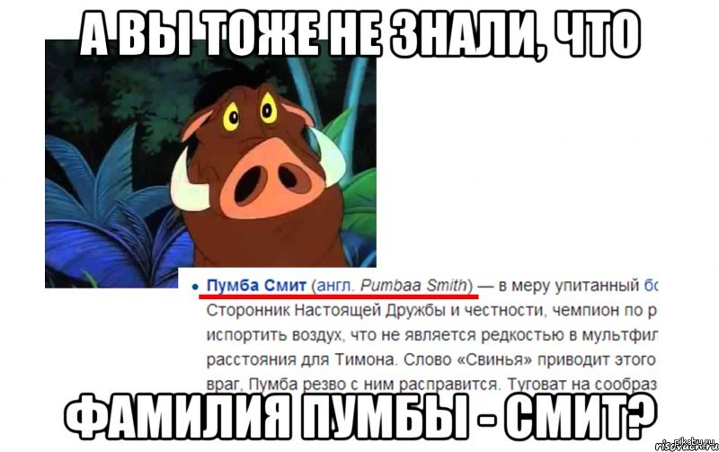 Тимон И Пумба Приколы