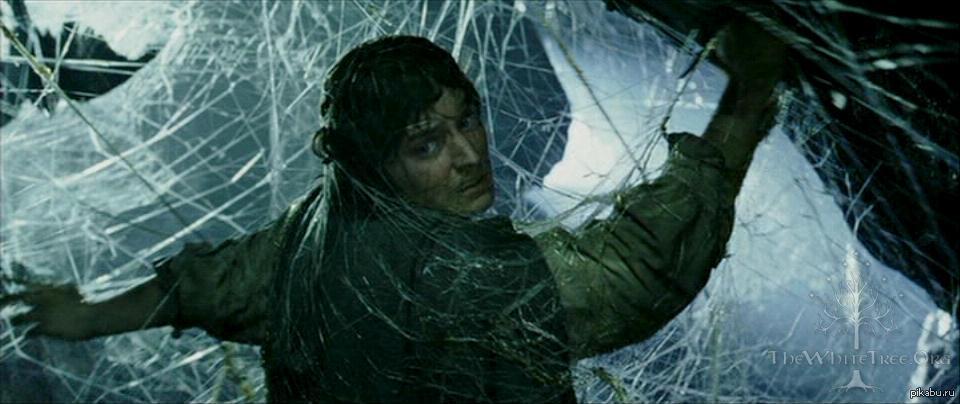 Spider scene. Фродо Бэггинс в паутине. Фродо и Шелоб. Властелин колец Фродо в паутине.