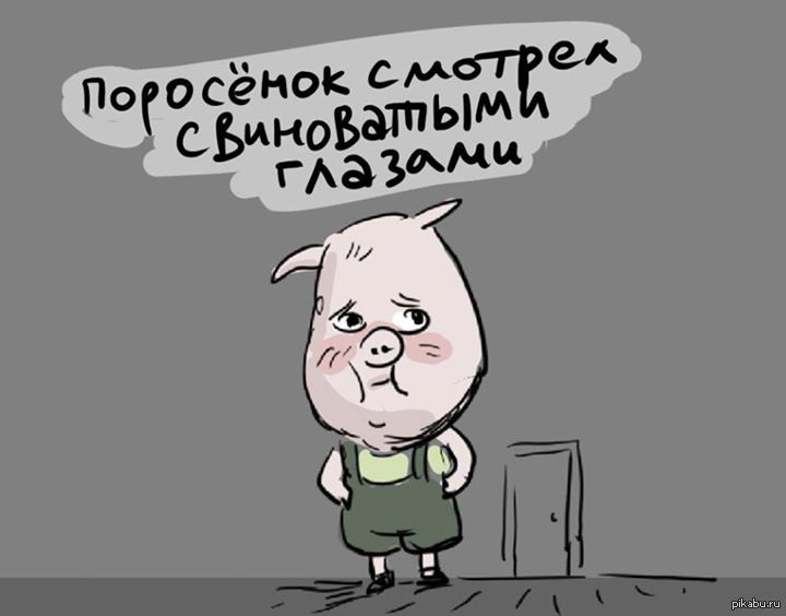 поросёнок | Пикабу