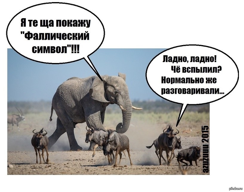 Про символы... | Пикабу