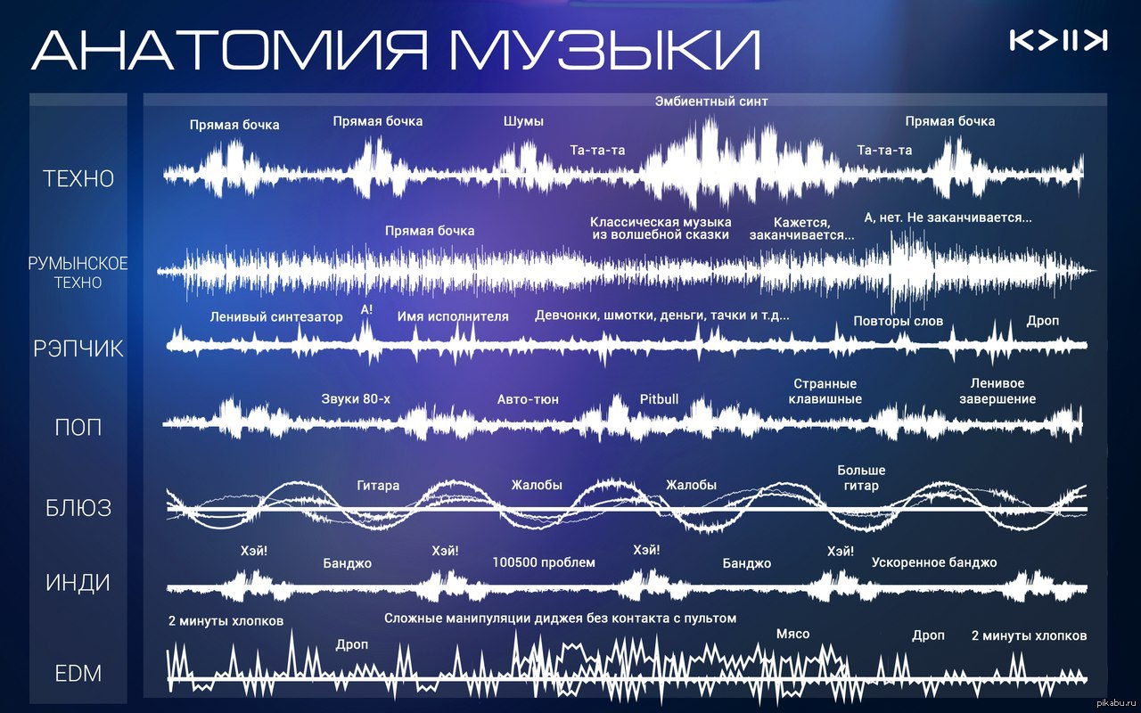 Анатомия песня текст. Анатомия музыки. Анатомия песен. Прямая бочка в Музыке это. Техно прямая бочка.