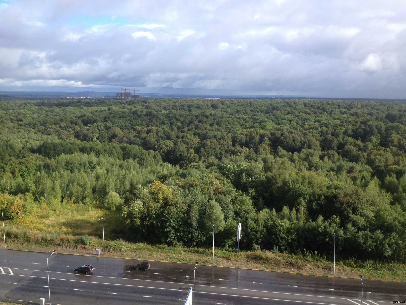 Приокский район Нижнего Новгорода Ботанический сад