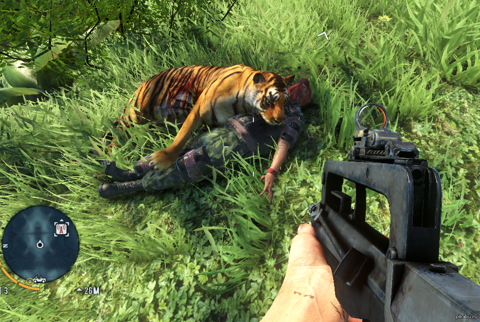 I know they love cats here. - My, Games, Far cry 3, Tiger