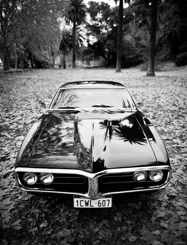 Старые машины черные. Pontiac 60s. Pontiac muscle car. Чёрно белый автомобиль. Машина черно белая.