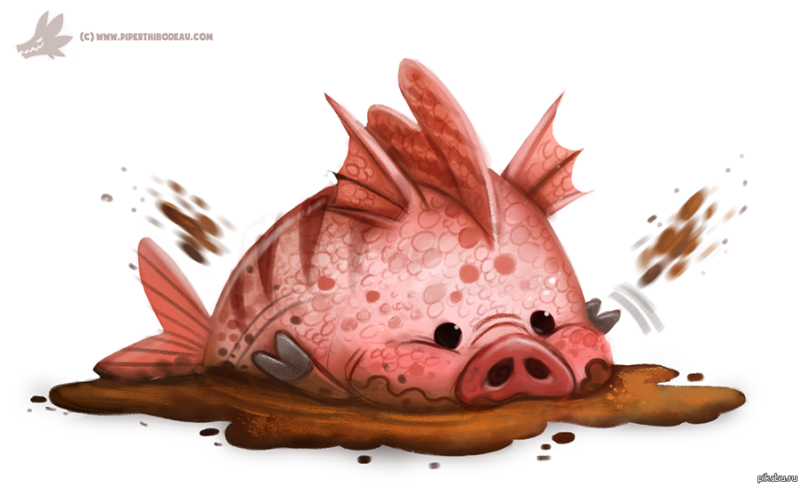 Рыба свинья мужчина. Рыба свинья. Смешные рыбы. Рыбасвинтя. Свино рыбка.
