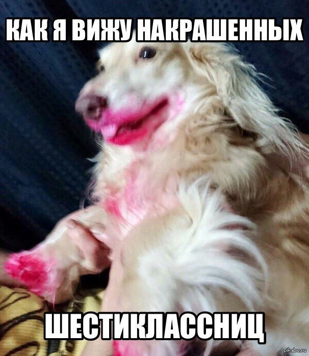 Размышления | Пикабу