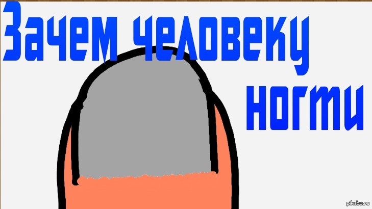 Зачем нужны человеку ногти? | Пикабу