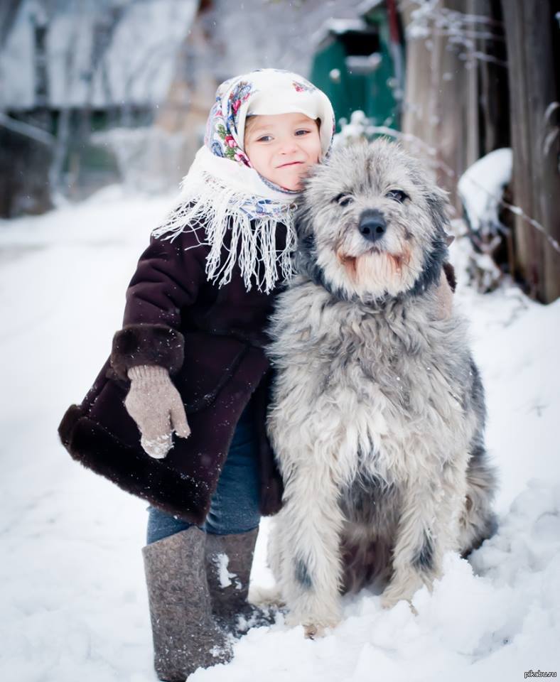 Человек и животное зимой. Зимняя фотосессия с собакой. Зимняя фотосессия дети и животные. Доброта зимой. Животные зимой для детей.