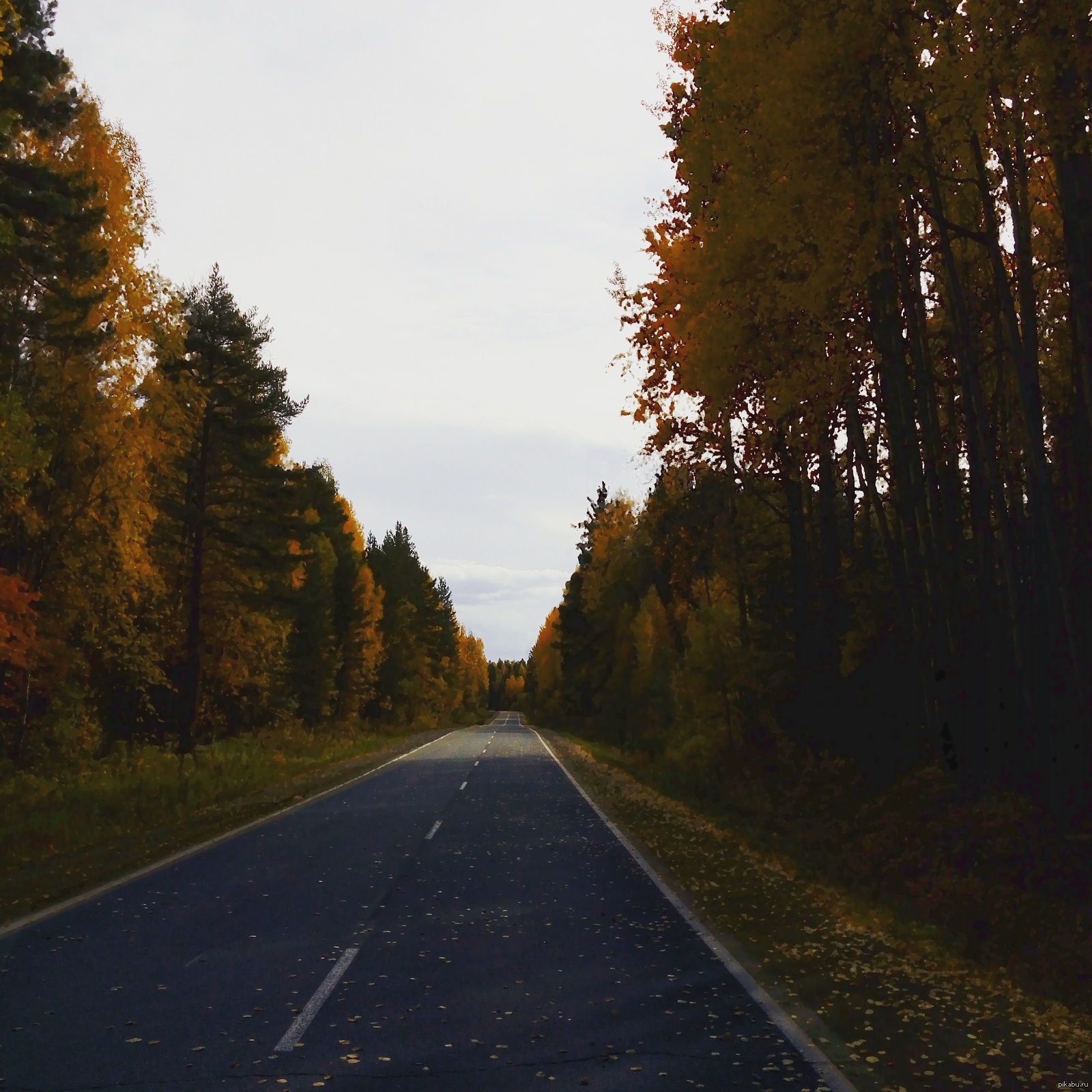 Осенняя дорога домой. Осенняя трасса. Ночная осенняя дорога. Осень на трассе. Трасса осенью.