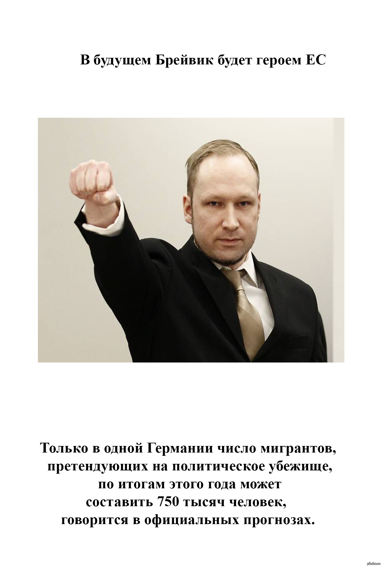 Брейвик будет героем в ЕС | Пикабу
