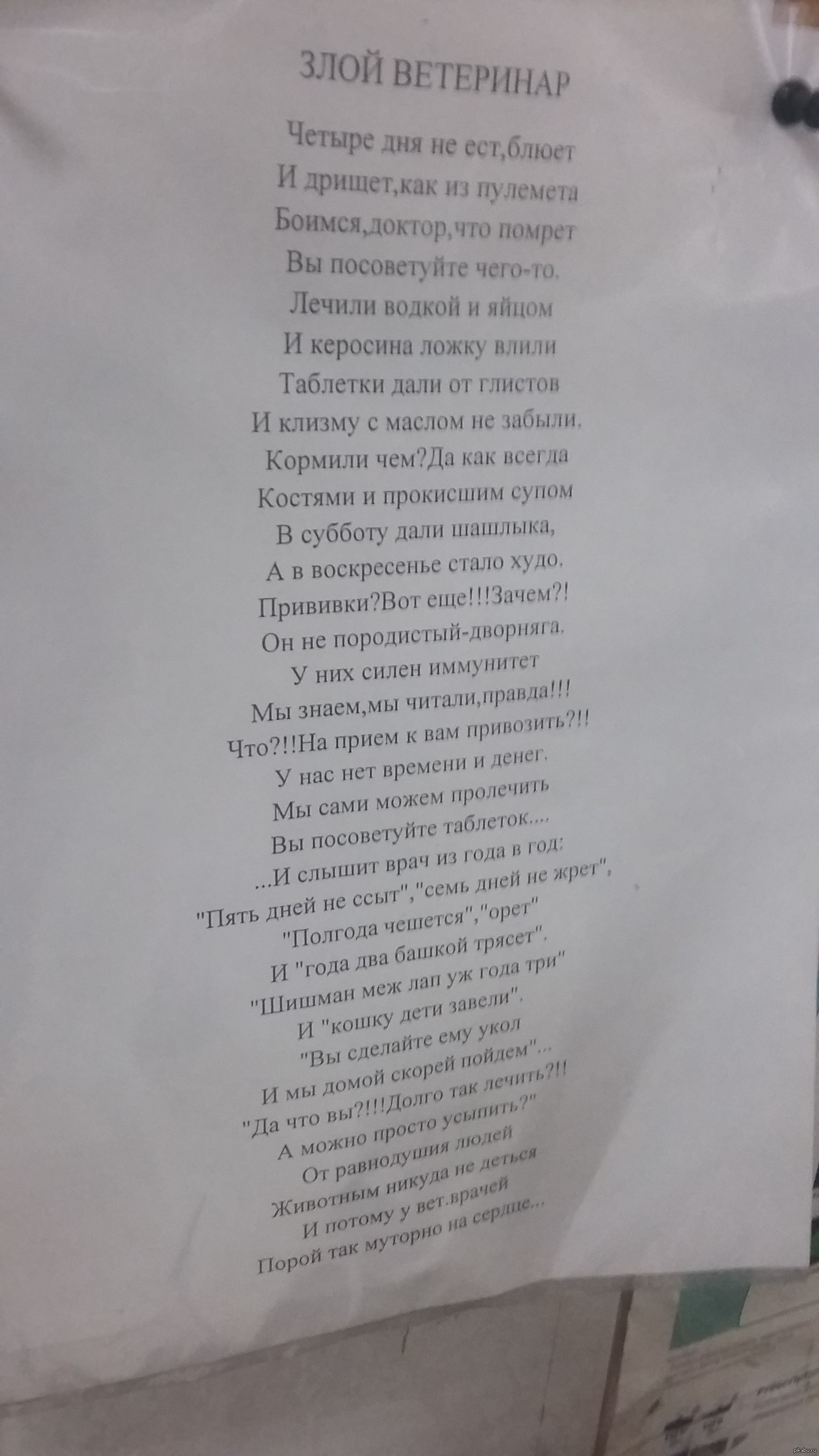 Возил собаку на прививку в ветклинику, сфотографировал там это  стихотворение | Пикабу