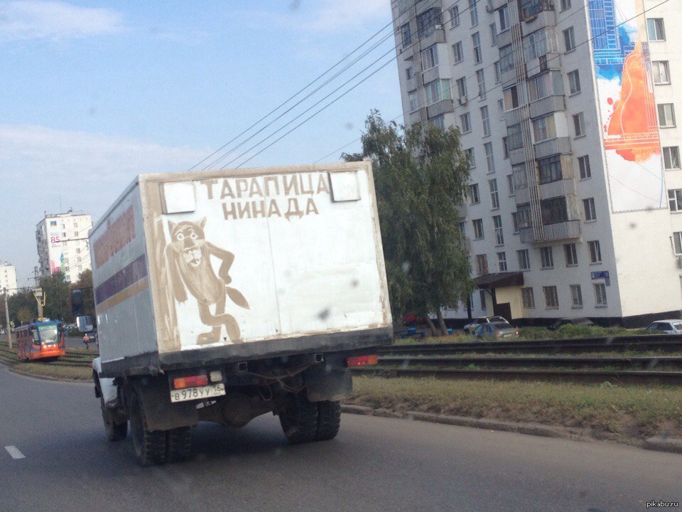 Тарапица нинада картинки
