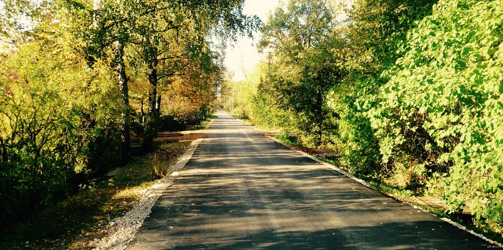 Autumn on the left, summer on the right =) - My, Summer, Autumn, Photo, Sony xperia z