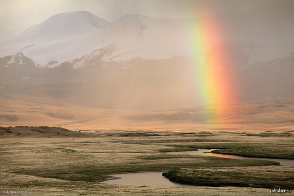 Rainbow | Пикабу