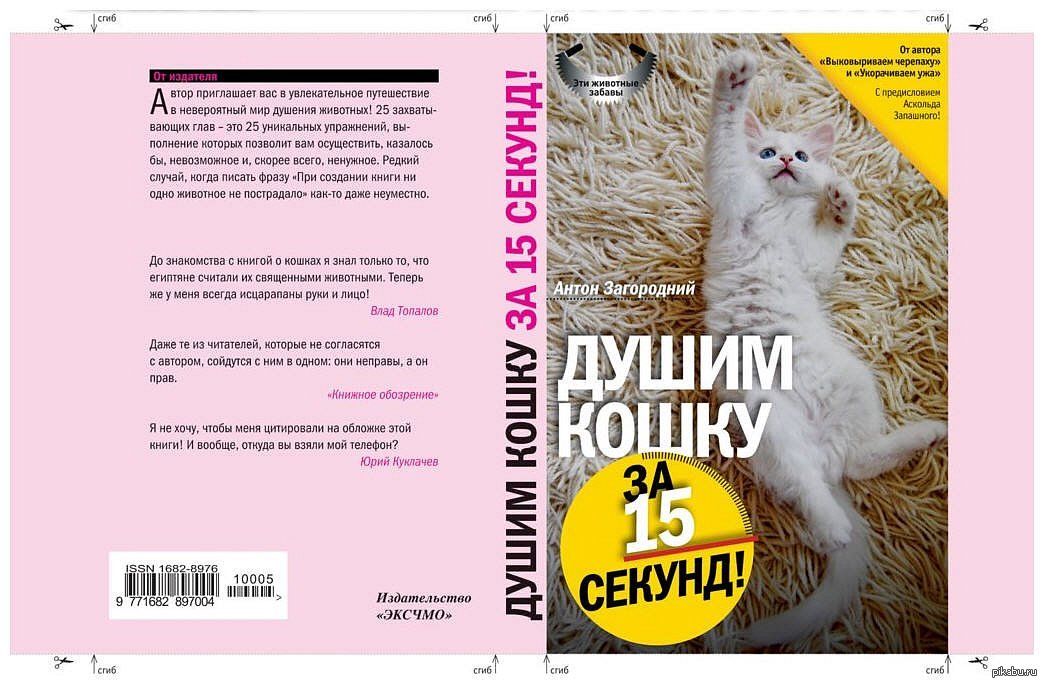 Кошка секунда. Смешные обложки книг. Забавные обложки книг. Веселые обложки для книг. Душим кошку за 15 секунд книга.