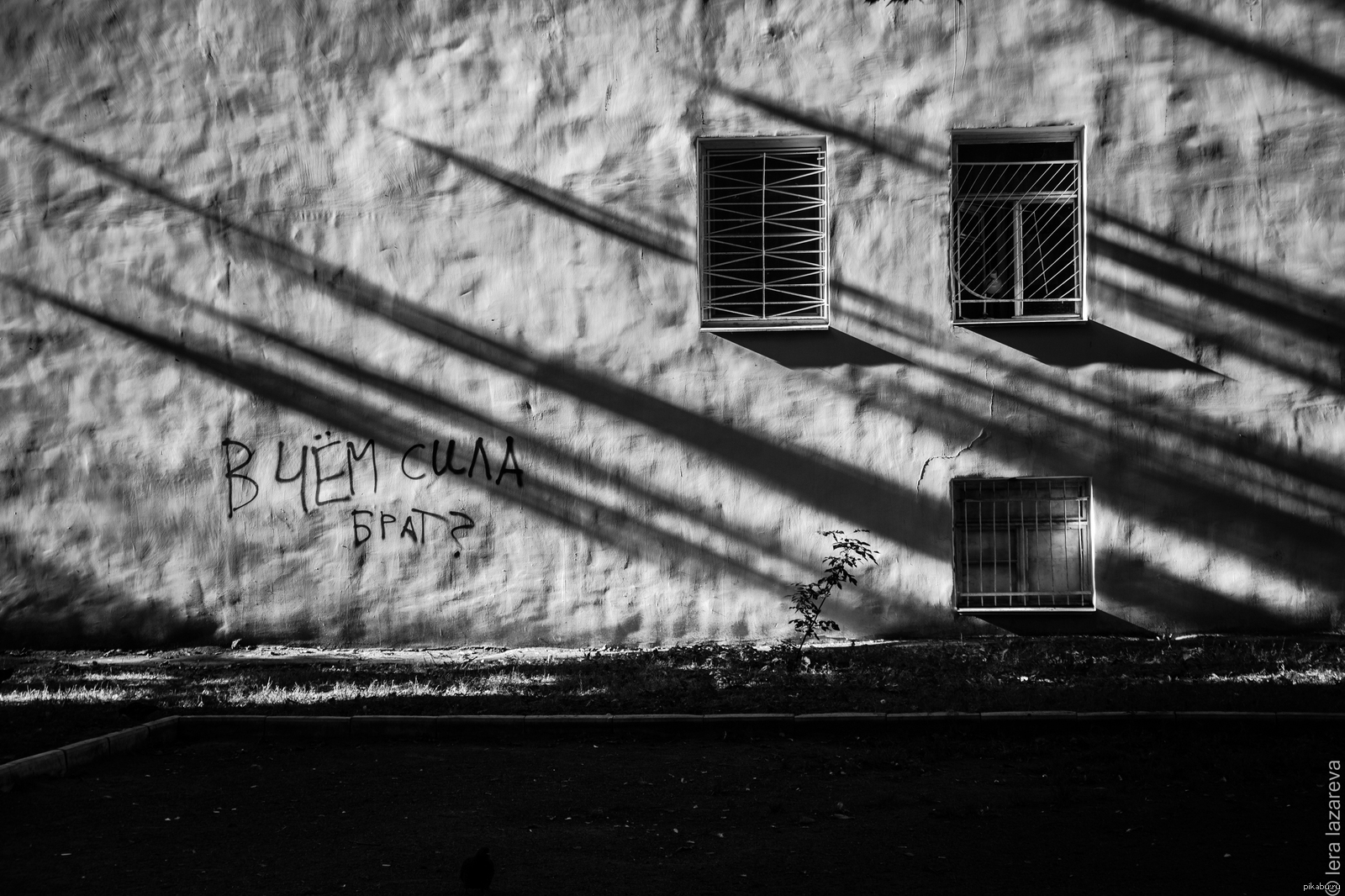 It's just that at certain times the shadows from the trees fall like this. - My, Saint Petersburg, Wall, What is the strength in, brother, Shadow