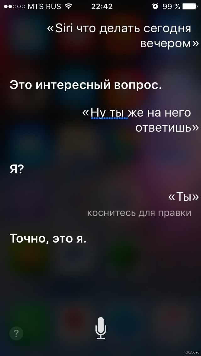Дай сиру сири. Интересные вопросы сири. Интересные запросы сири. Смешные вопросы сири. Сколько лет сири.