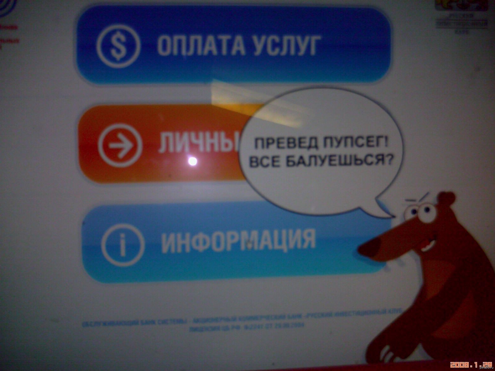 Медведь оплатить. Медвед на терминале оплаты. Прикол на терминалах оплаты медведь.