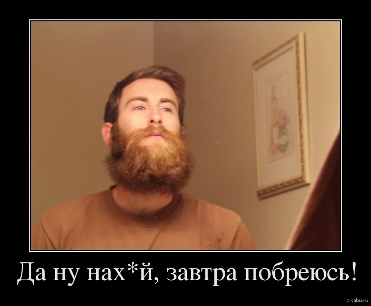 Про бороду картинки