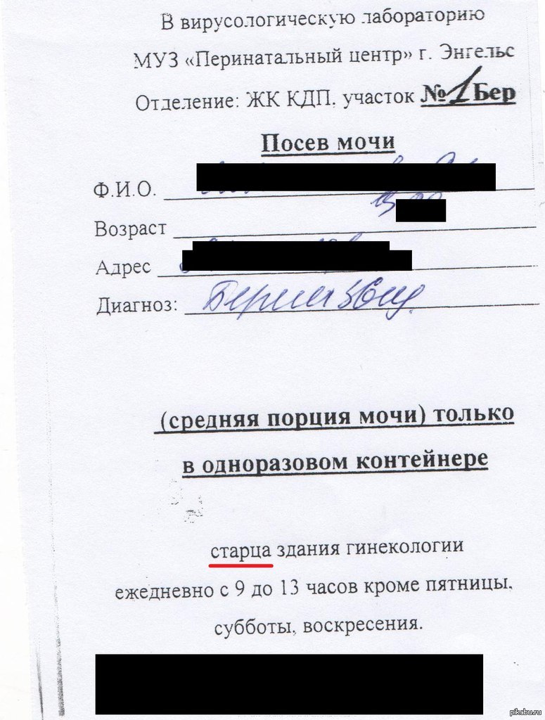 В Энгельсе предлагают сдать мочу СТАРЦУ гинекологии. | Пикабу