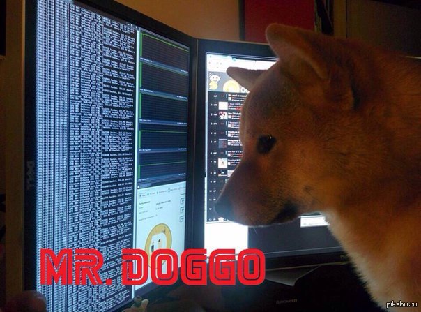 Dog computer. Dogecoin собака. Dogecoin прикол. Доги за ПК. Doge за компом.