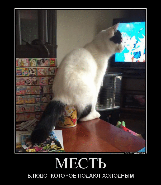 Картинки о мести с надписью, днем рождения алексею