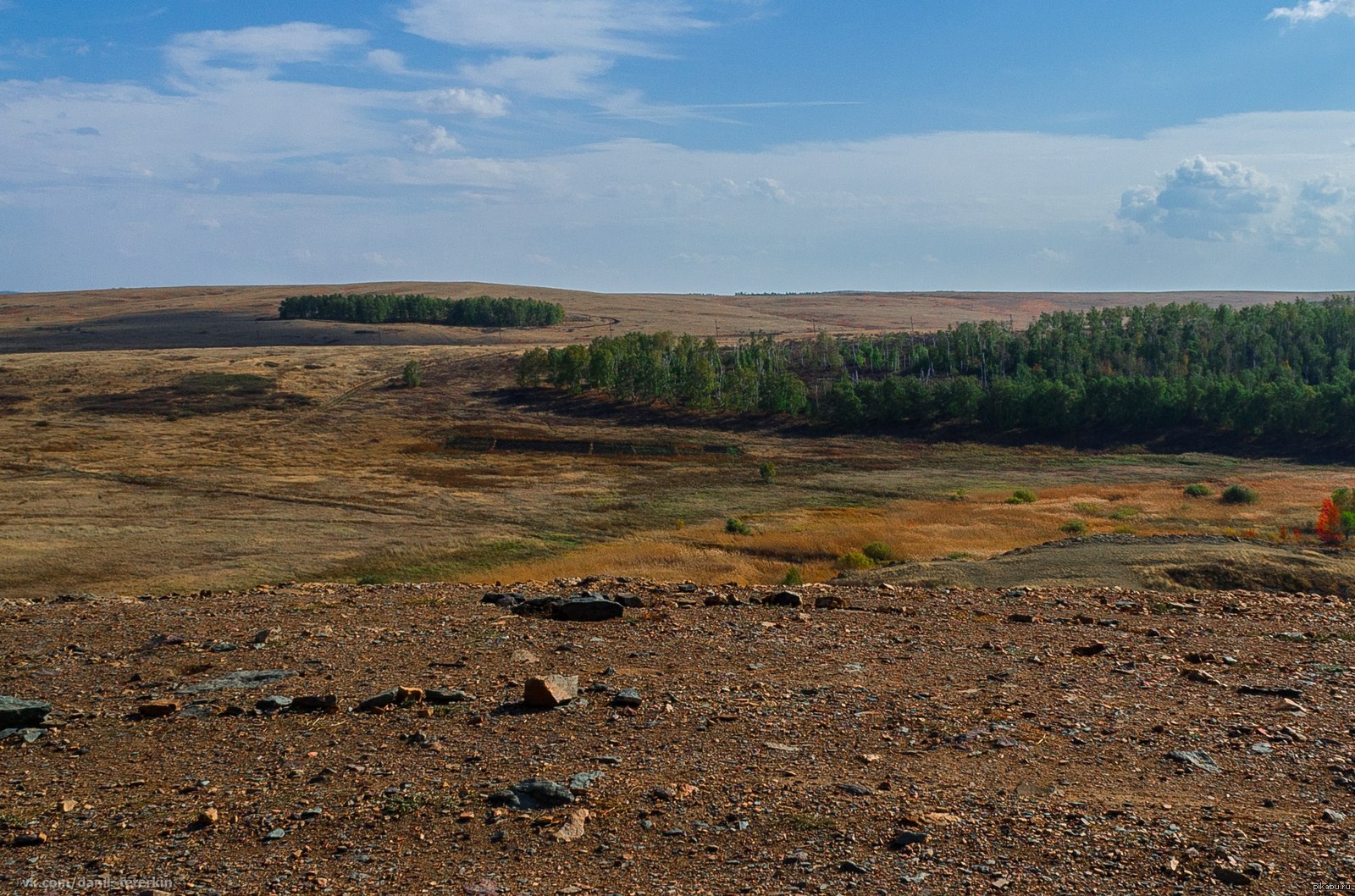 Лес и степь братск. Лесная степь. Лес и степь. Степные леса степи. Аркаим лес.