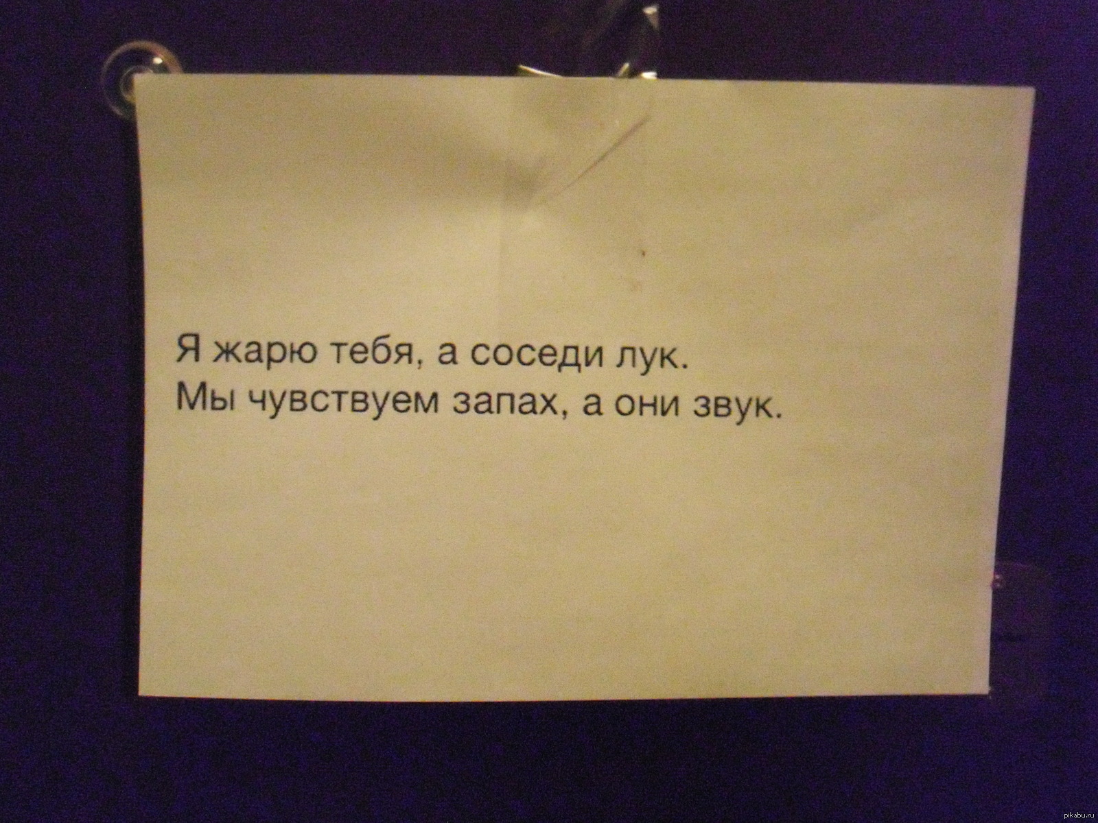 Они слышат. Я жарю тебя а соседи. Отомсти соседям. Соседи жарят лук. Я тебя отжарю.