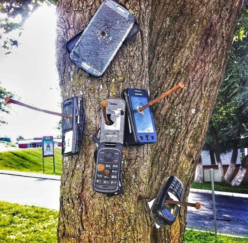 Купить телефон на стену. Телефон на дереве. Дерево с телефонами в армии. Доска с телефонами в армии. Айфон прибитый к дереву.
