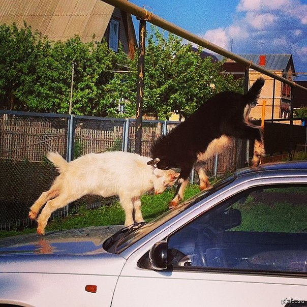 Самое место для разборок! | Пикабу