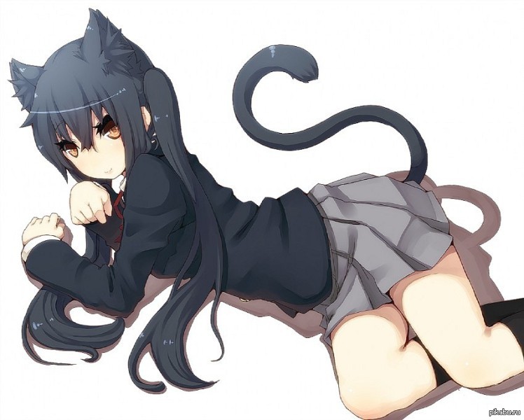 Black black cat ear