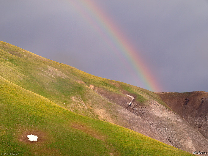 Rainbow | Пикабу