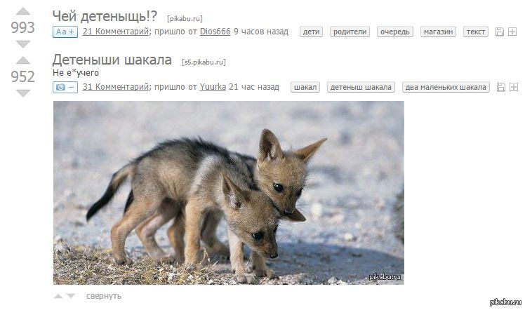 Спрашивали? Отвечаем! | Пикабу