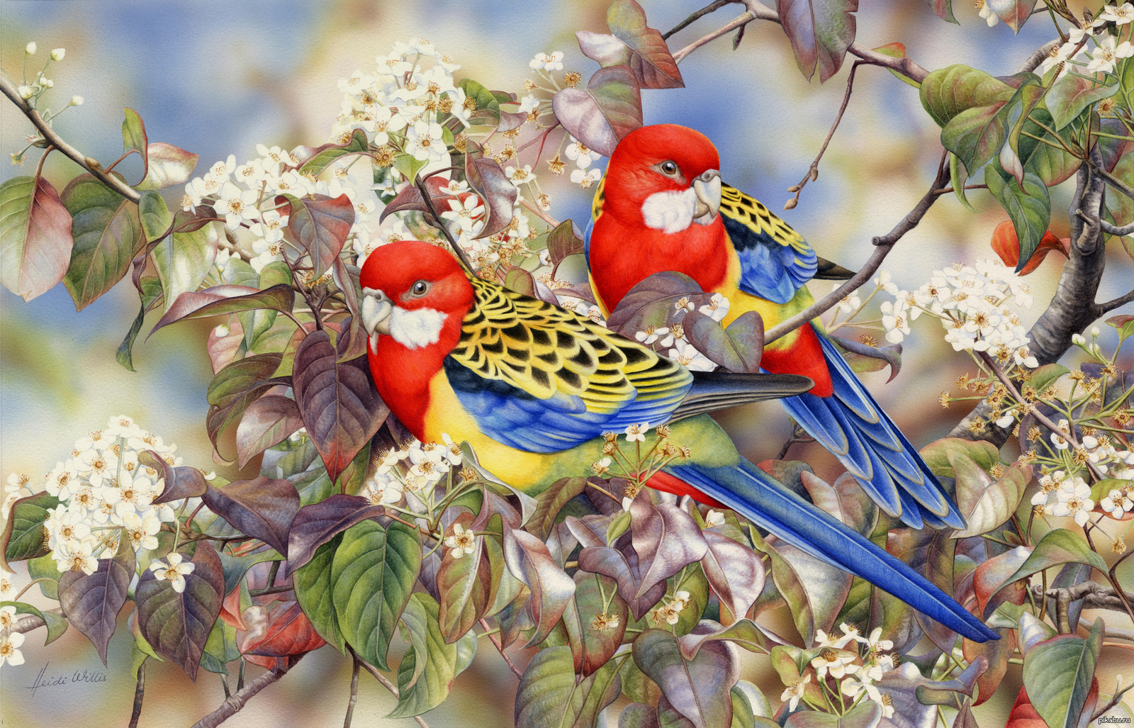 Хайди Уиллис птицы в живописи