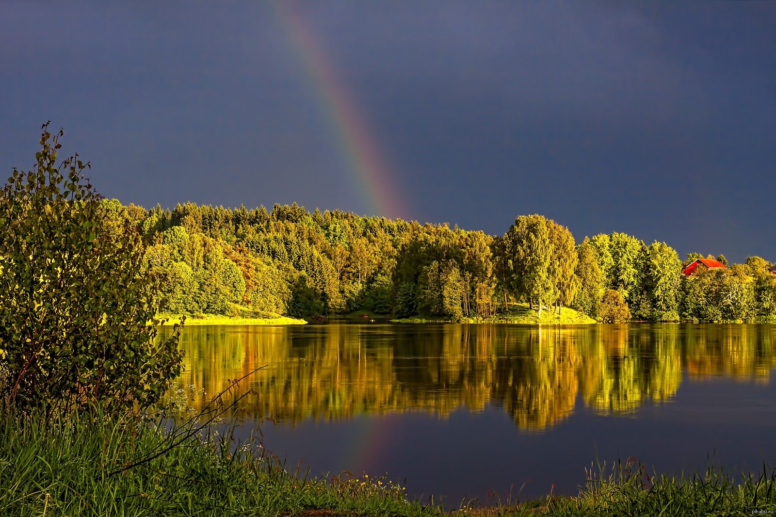 Над вяткой над рекой. Белорусия Лесные озёра Радуга. Красивая природа с радугой. Радуга над лесом.