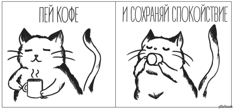 Котиках конечно. Молодец рисунок. Картинка молодец на белом фоне. Детская картинка молодцы.