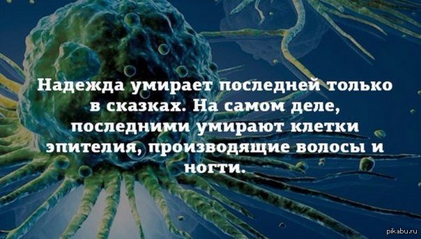 Картинки Последняя Надежда