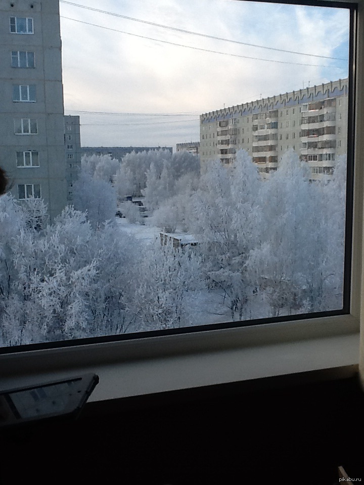 Попасть снежком в окно. Вид с окна зимой. Зимний вид из окна. Вид с окна зимой на город. Снег ВТД из окна.